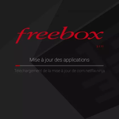 Mise à jour des applications Disney Plus et Netflix sans aucun moyen de passer à côté.