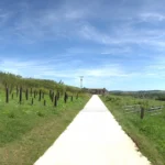 Group 6 GAYA6170 GAYA6174 5 images