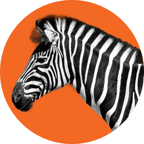 Joris POUPET Portfolio