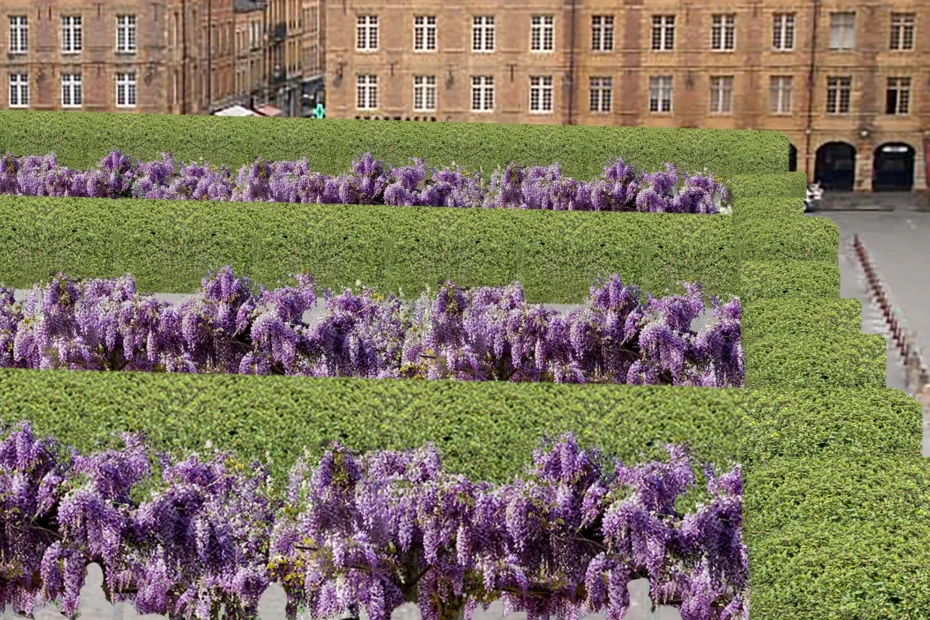 La place Ducale va se végétaliser
